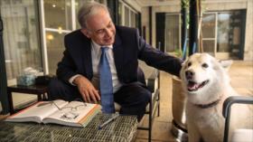 Lieberman compara a Netanyahu con un perro ladrador