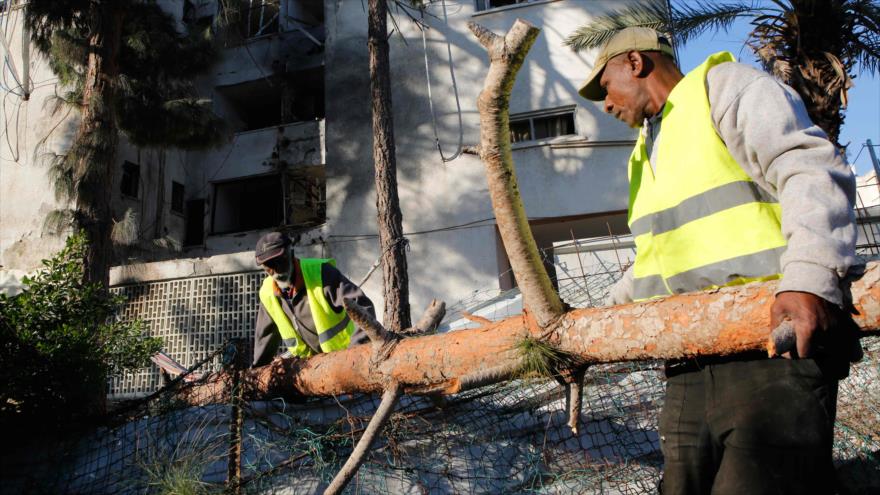 Trabajadores municipales mueven un tronco de árbol, ciudad ocupada de Ashkelon, 13 de noviembre de 2018. (Foto: AFP)