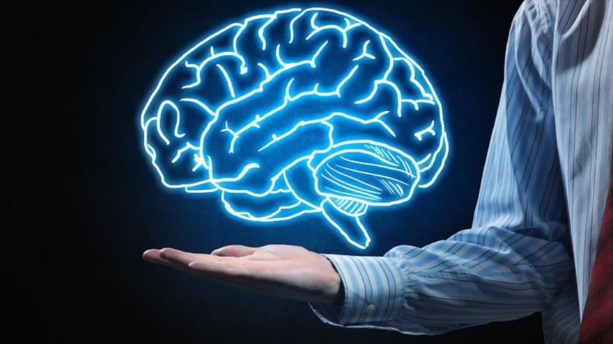 Una investigación revela que las personas con una red muy eficiente tienen un conocimiento más general que aquellas con una red estructural menos eficiente. 