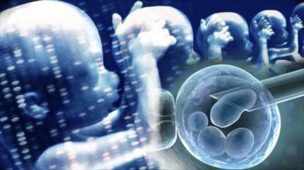 OMS advierte de desafíos de la “creación de bebés” modificados