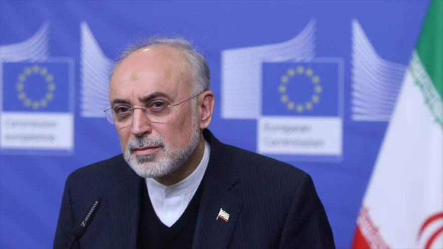 El jefe de la OEAI, Ali Akbar Salehi, ofrece un discurso en la Comisión Europea en Bruselas, 26 de noviembre de 2018. (Foto: AFP)