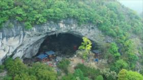 El Toque: 1- Récord mundial en cuerda floja 2- Automóvil volador 3- Isla de gatos 4- Pañales inteligentes