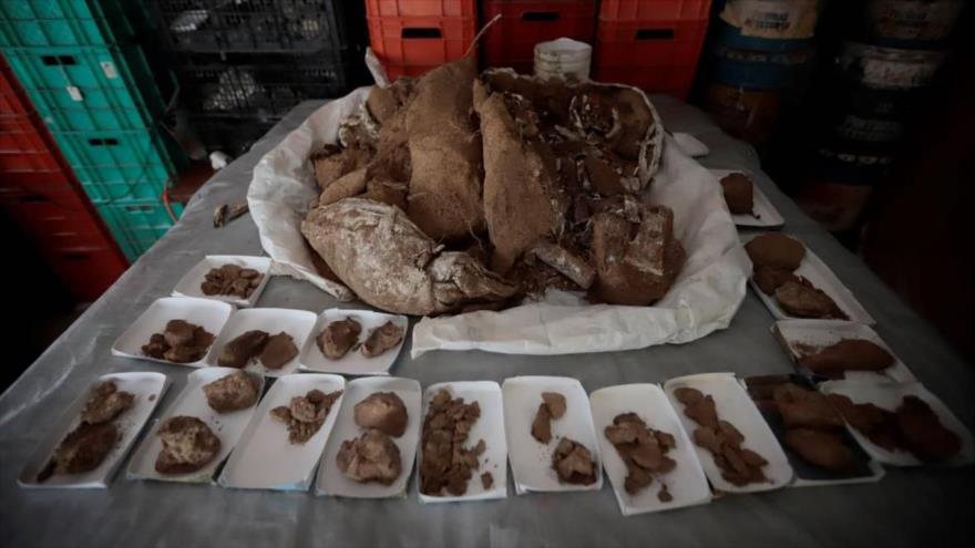 Descubren fósiles de mamut de 13 000 años en Jalisco en México | HISPANTV