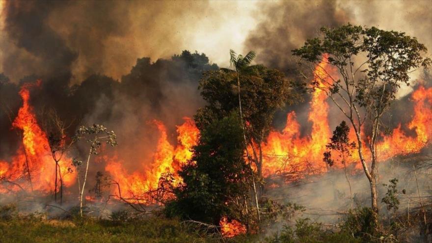 El mundo se preocupa por incendios en el “pulmón del planeta” | HISPANTV