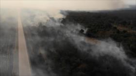 Incendios de la Amazonía aumentan preocupación global