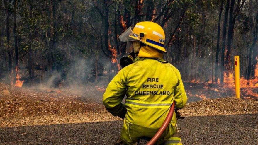 Vídeo y Fotos: Incendio en Australia mata a decenas de canguros