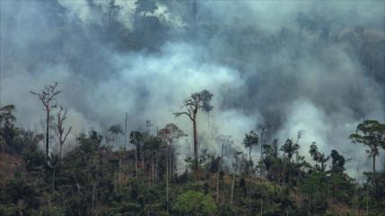 Activistas repudian negligencia de Bolsonaro por Amazonía