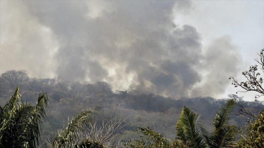 Los incendios en la Chiquitanía, en Santa Cruz. (Foto: AFP)