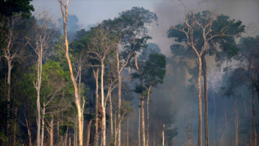 Incendios en la Amazonía encienden las alarmas a nivel mundial | HISPANTV