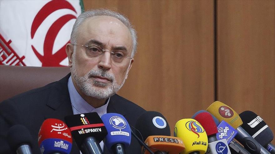 El jefe de la Organización de la Energía Atómica de Irán (OEAI), Ali Akbar Salehi, en una rueda de prensa.