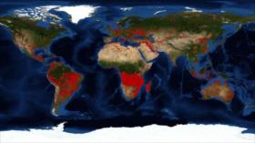 Hay más incendios en África subsahariana que en la Amazonia
