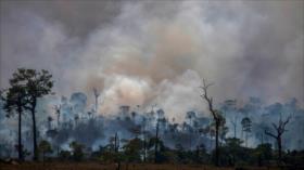 ALBA-TCP alerta de efectos de los incendios forestales en Amazonía