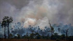 Vídeo: ¿Por qué récord de incendios en Amazonas amenaza al mundo?