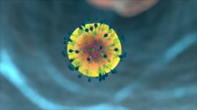 Científicos descubren una mutación que protege contra el VIH