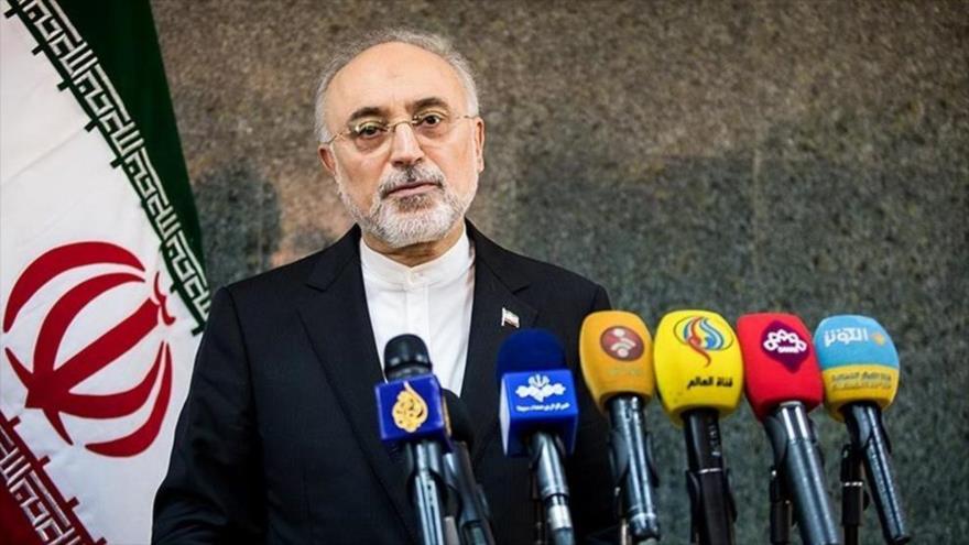 El jefe de la Organización de Energía Atómica de Irán (OEAI), Ali Akbar Salehi, durante una rueda de prensa en Teherán, la capital. (Foto: Tasnim)