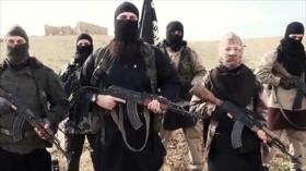 Rusia advierte a Europa del retorno de 2000 terroristas de Daesh