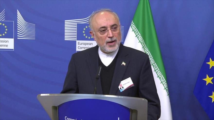 El jefe de la Organización de la Energía Atómica de Irán (OEAI), Ali Akbar Salehi.