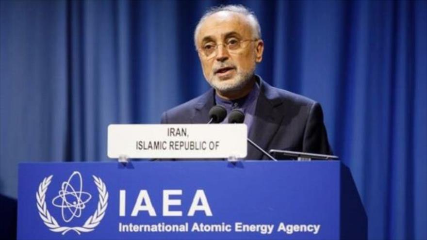 El jefe de la Organización de la Energía Atómica de Irán (OEAI), Ali Akbar Salehi.