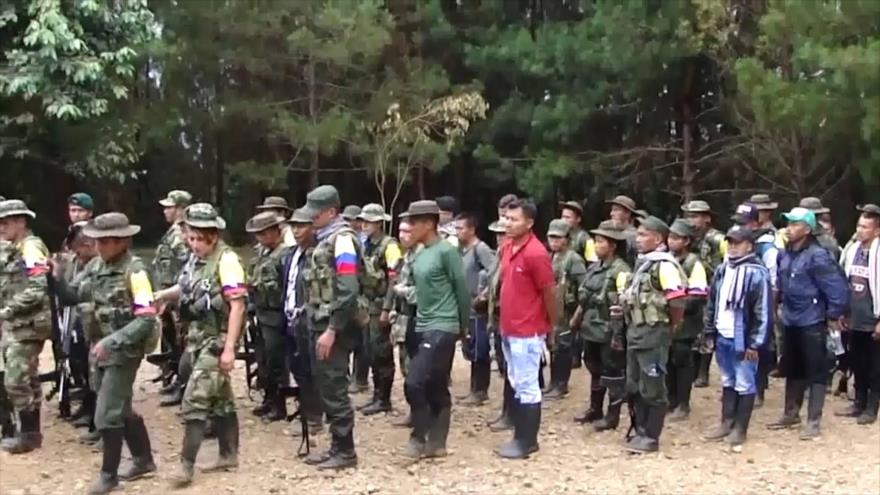 Asesinatos de excombatientes de las FARC son sistemáticos