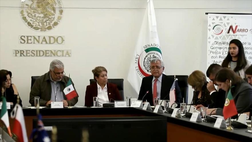 México busca incentivar cooperación internacional en agricultura