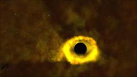 Telescopio de NASA capta estrella devorada por un agujero negro