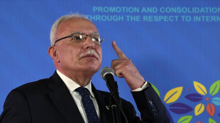 Palestina insta a relatores de la ONU a exponer crímenes de Israel | HISPANTV