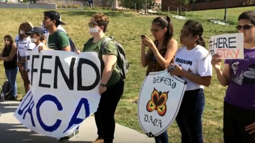 Empresas de EEUU apoyan a dreamers y critican políticas de Trump | HISPANTV