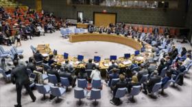 Consejo de Seguridad no logra consensuar sobre ataque turco a Siria