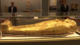 El Toque: 1- Reliquias del imperio persa 2- X-men de carne y hueso 3- Depredador más siniestro del océano 4- Peligros de dormir poco