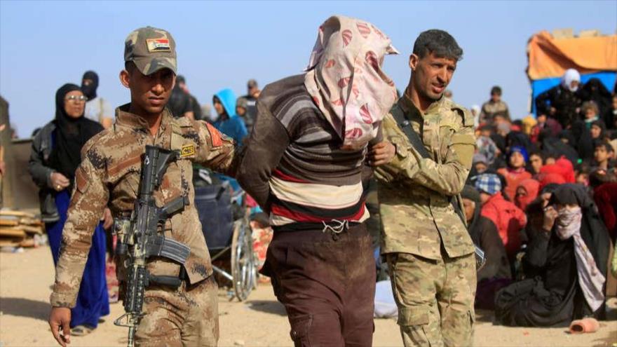 Irak neutraliza varios atentados contra peregrinos de Arbaín | HISPANTV