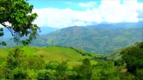 Nicaragua busca plantar más de 25 millones de árboles en el país