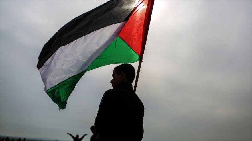 Túnez veta entrada de karatecas israelíes en apoyo a Palestina | HISPANTV