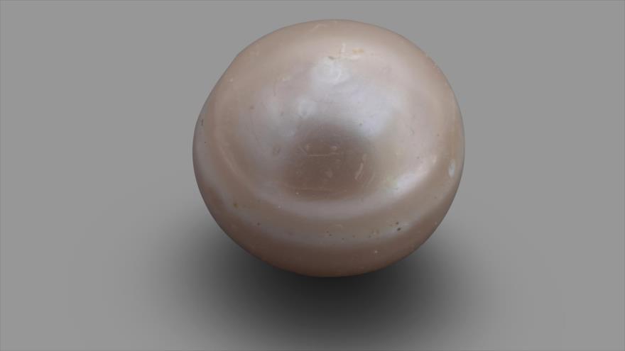 La perla de 8000 años hallada por los arqueólogos, posiblemente la más antigua jamás encontrada.