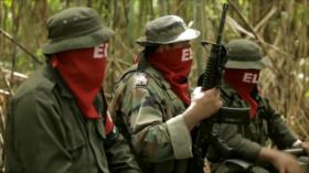 MOE pide al ELN cese al fuego en las elecciones en Colombia