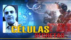 Detrás de la Razón: ¿Cuál es el secreto de las células que investigaba el científico arrestado en EEUU?