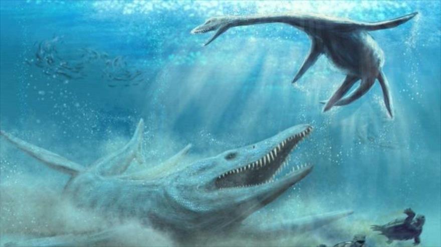 Hallan huesos de un monstruo marino de 150 millones de años en Polonia.