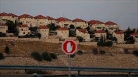 UE ordena etiquetar productos de territorios ocupados por Israel