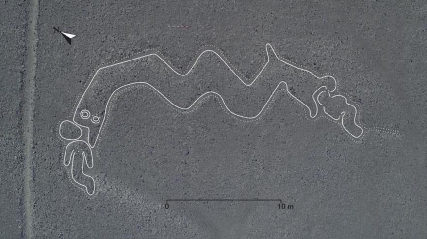 Los científicos encontraron dibujos de seres humanos, plantas y animales como serpientes y peces.