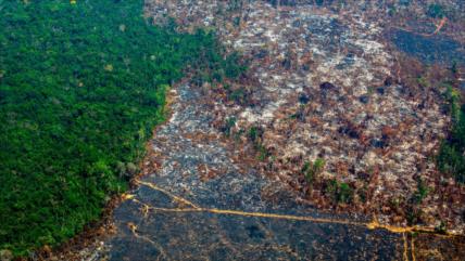 Brasil sufre la mayor deforestación de la Amazonía con Bolsonaro