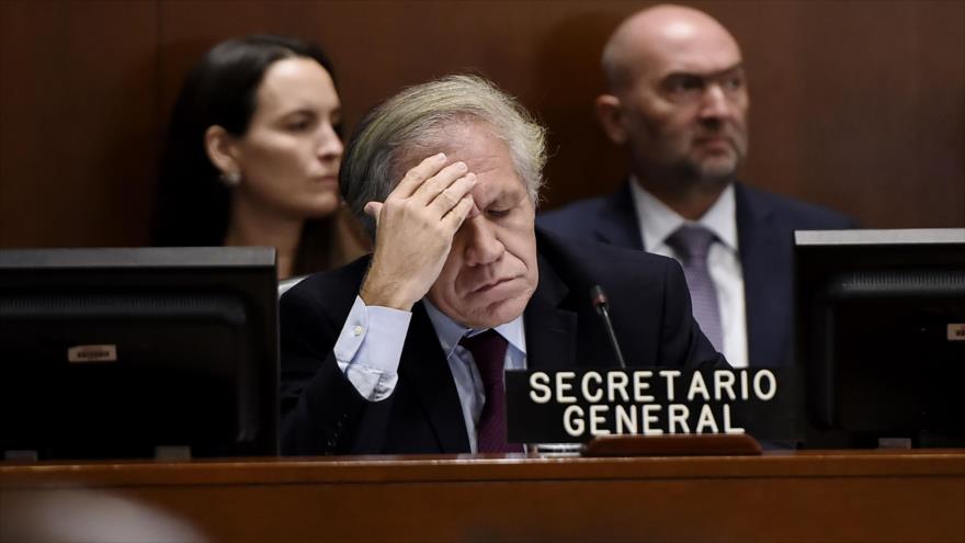 El secretario General de la Organización de Estados Americanos (OEA), Luis Almagro, en una reunión en Washington, 12 de noviembre de 2019. (Foto: AFP)