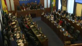 Tras golpe de Estado, Senado boliviano aprueba nuevas elecciones