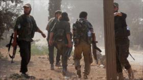Informe: Terroristas trasladan sustancia química a Idlib, Siria