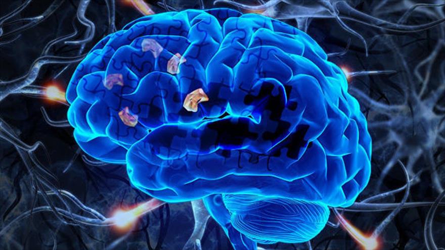 Un grupo de científicos descubre el ‘almacén’ mental en el que guardamos las palabras.
