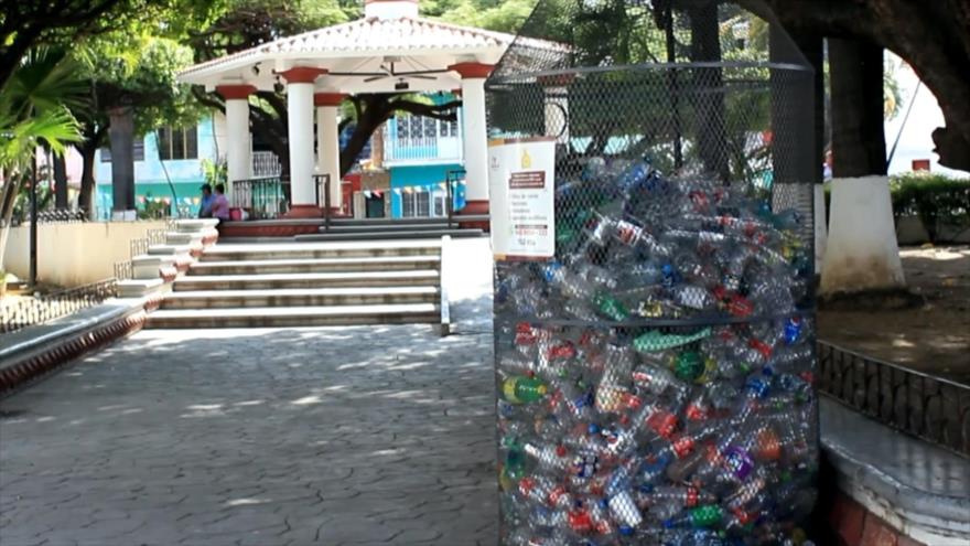 Proponen instalar empresas verdes en Chiapas