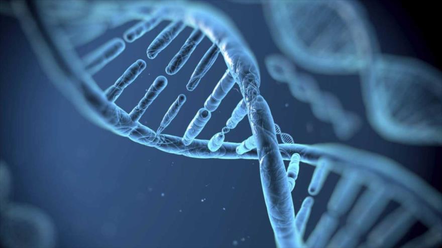 La desaparición misteriosa de algunos cromosomas Y en el 44 % de hombres al llegar a los 70 años aumenta riesgo de contraer cáncer, según un estudio.