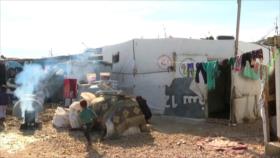 ONU informa: 272 millones de personas no habitan su país natal