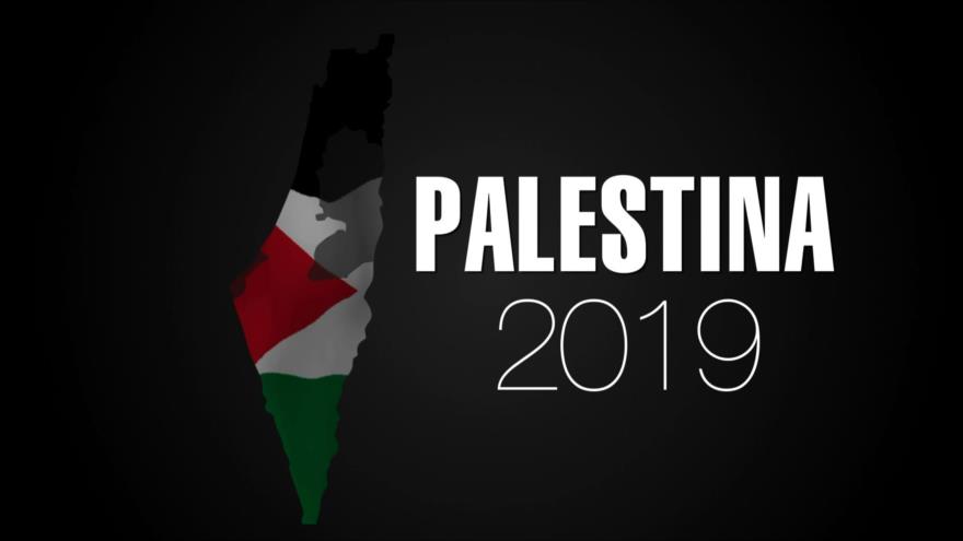 2019, un año de sufrimiento y resistencia para los palestinos