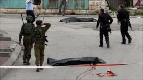 Experto de ONU elogia pesquisa de crímenes israelíes