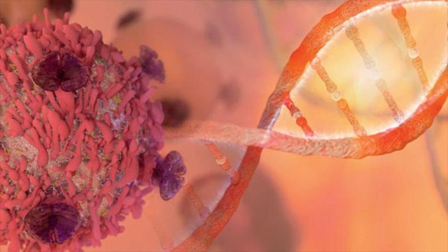 Hombres son más vulnerables al cáncer que las mujeres, ¿por qué? | HISPANTV