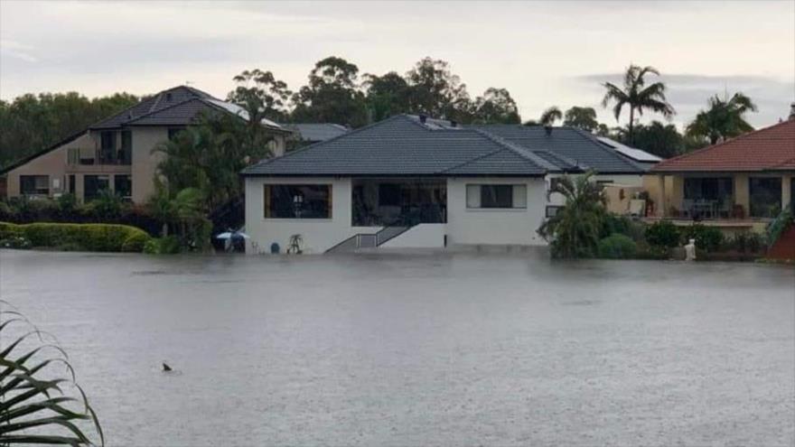 Una fotografía de la inundación en el estado de Queensland, en Australia muestra un tiburón nadando en las calles llenas de agua.